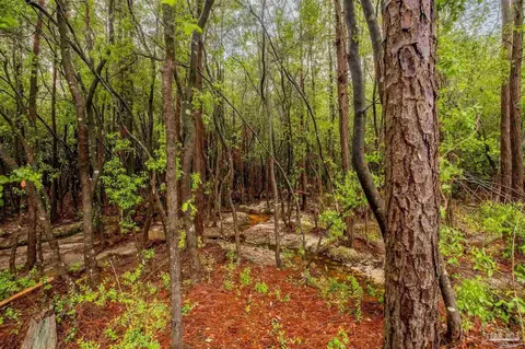 Christmas Tree Rd, Milton, FL 32570 photo 2