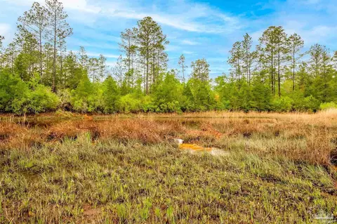Christmas Tree Rd, Milton, FL 32570 photo 3