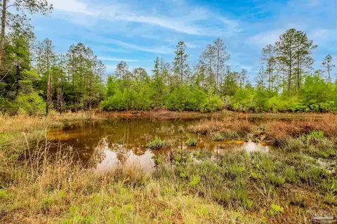 Christmas Tree Rd, Milton, FL 32570 photo 5