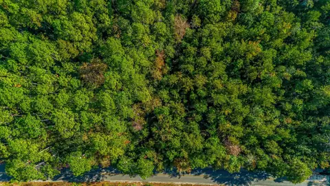 lot19 Sioux Cir, Crestview, FL 32536 photo 24