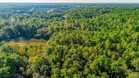 lot19 Sioux Cir, Crestview, FL 32536 photo 15