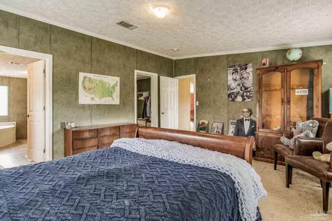 320 Brown Rd, Mcdavid, FL 32568 photo 38