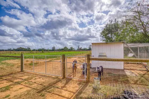 Other - 3517 Godwin Rd, Jay, FL 32565 photo 12 of 15