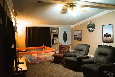 4684 Settle Rd, Molino, FL 32577 photo 24