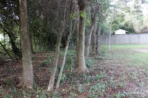 Other - 4448 Pine Villa Cir, Pace, FL 32571 photo 3 of 22