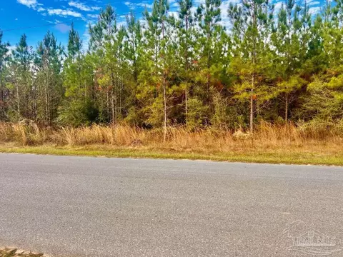 lot16 Mbn Molino Bridge Rd, Pace, FL 32571 photo 13