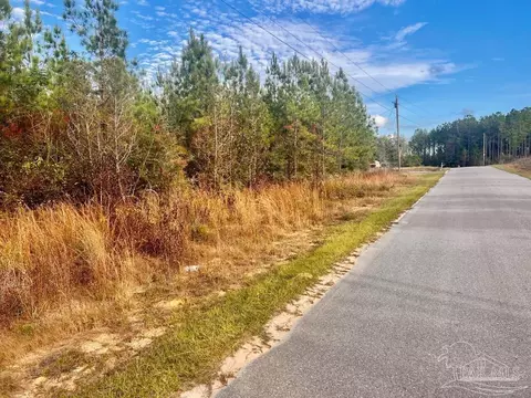 lot16 Mbn Molino Bridge Rd, Pace, FL 32571 photo 12