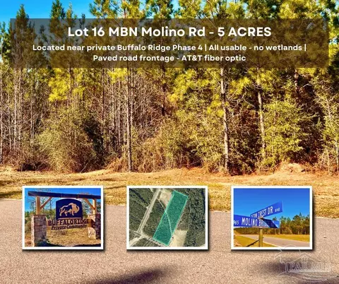 lot16 Mbn Molino Bridge Rd, Pace, FL 32571