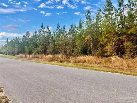 lot16 Mbn Molino Bridge Rd, Pace, FL 32571 photo 6