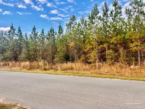 lot16 Mbn Molino Bridge Rd, Pace, FL 32571 photo 9