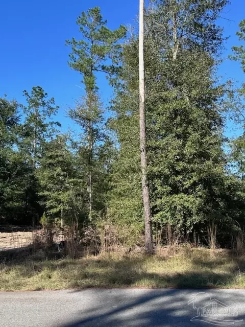 lot14 Steele Meadow Dr, Pace, FL 32571 photo 2