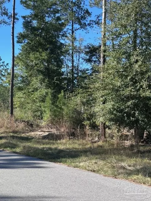 lot14 Steele Meadow Dr, Pace, FL 32571 photo 5