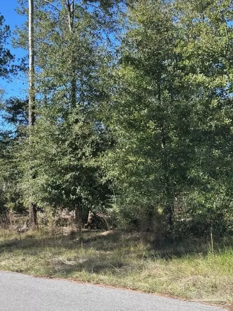 lot14 Steele Meadow Dr, Pace, FL 32571 photo 4