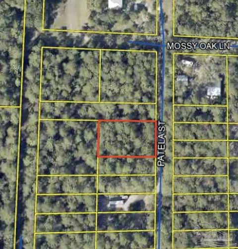 tbd Patela St, Freeport, FL 32439