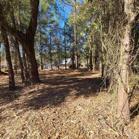 3470 Barley Rd, Pace, FL 32571 photo 34