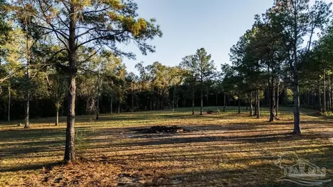 4875 Greenwood Rd, Jay, FL 32565 photo 16