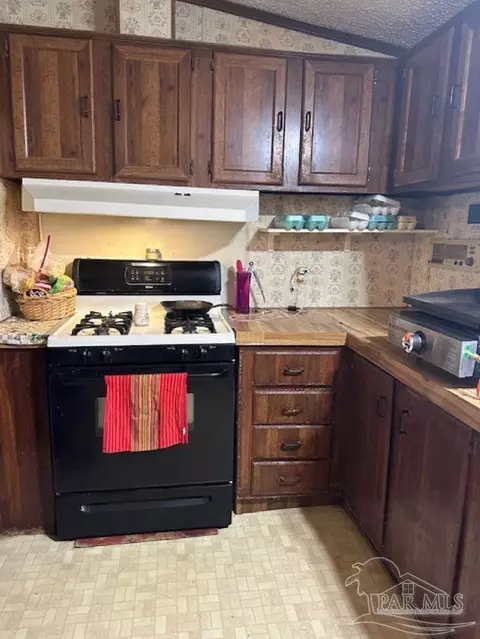 102 Brown Rd, Mcdavid, FL 32568 photo 3
