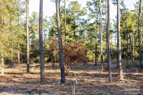 lot20 Steele Meadow Dr, Pace, FL 32571 photo 7