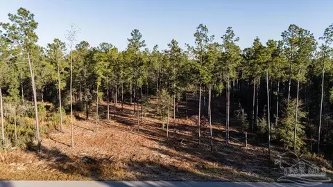 lot20 Steele Meadow Dr, Pace, FL 32571 photo 10
