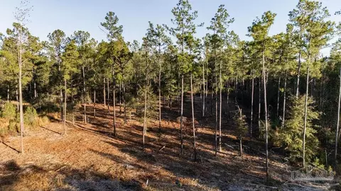 lot20 Steele Meadow Dr, Pace, FL 32571