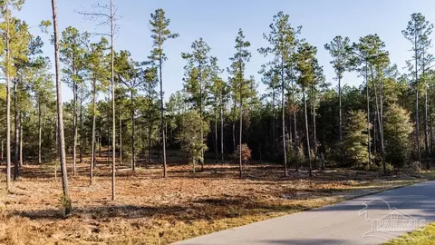 lot20 Steele Meadow Dr, Pace, FL 32571 photo 3