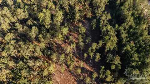 lot20 Steele Meadow Dr, Pace, FL 32571 photo 4