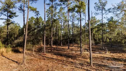 lot20 Steele Meadow Dr, Pace, FL 32571 photo 14