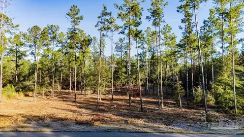 lot20 Steele Meadow Dr, Pace, FL 32571 photo 11