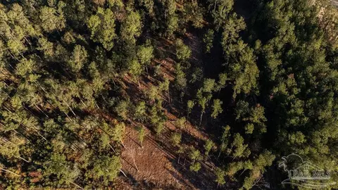 lot20 Steele Meadow Dr, Pace, FL 32571 photo 6