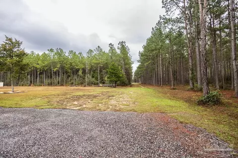 3325 Steele Meadow Dr, Pace, FL 32571 photo 63