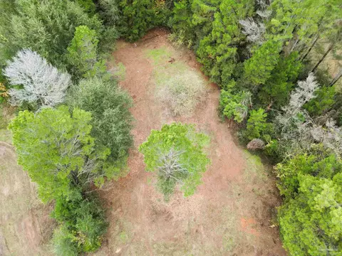 0000 Oglesby Rd, Milton, FL 32570 photo 19