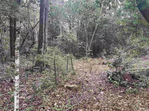 7310 Johnson Rd, Milton, FL 32583 photo 19