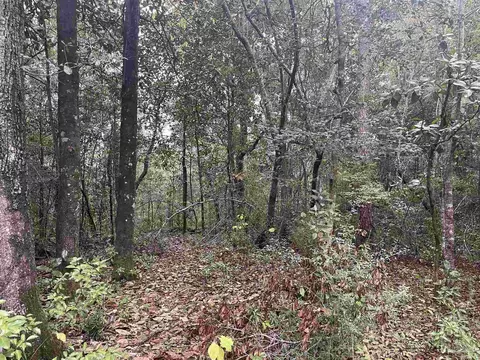 7310 Johnson Rd, Milton, FL 32583 photo 20