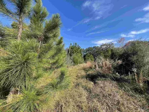 Other - 3579 Acy Lowery Rd, Pace, FL 32571 photo 1 of 10