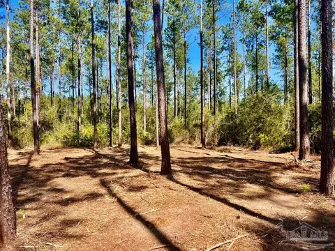 lot92 Turning Leaf Rd, Pace, FL 32571 photo 12
