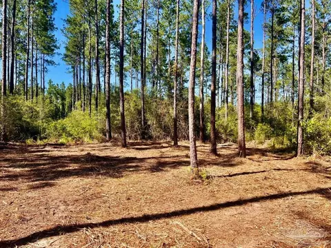 lot92 Turning Leaf Rd, Pace, FL 32571 photo 11