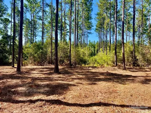 lot92 Turning Leaf Rd, Pace, FL 32571 photo 10