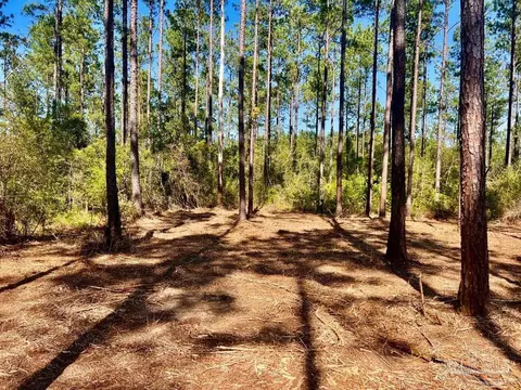 lot92 Turning Leaf Rd, Pace, FL 32571 photo 13