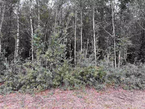 lot4 Horace Lunsford Rd, Milton, FL 32570 photo 3
