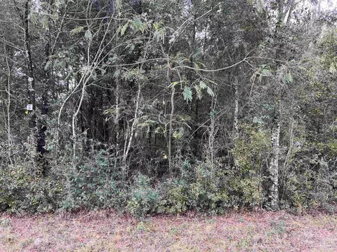 lot4 Horace Lunsford Rd, Milton, FL 32570 photo 4