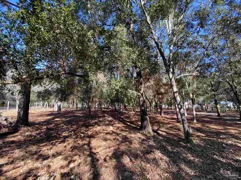 9141 Abb Pitman Rd, Milton, FL 32570 photo 12