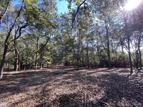 9141 Abb Pitman Rd, Milton, FL 32570 photo 13