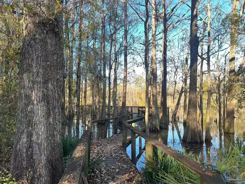 Brickyard At Blake, Molino, FL 32577 photo 14