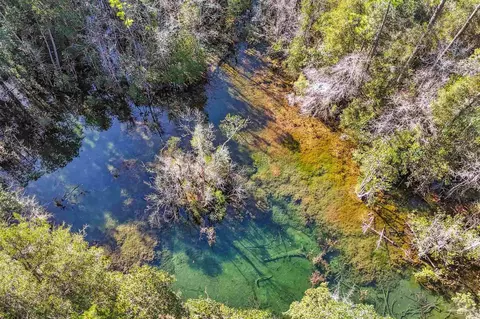 7665 Lund Rd, Milton, FL 32570 photo 8