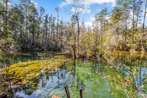 7665 Lund Rd, Milton, FL 32570 photo 18