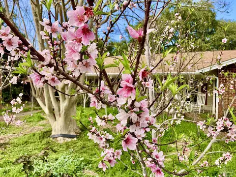 3360 Espanola St, Gulf Breeze, FL 32563