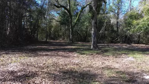 4130 Robinson Point Rd, Milton, FL 32583 photo 7