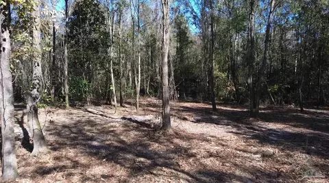 4130 Robinson Point Rd, Milton, FL 32583 photo 9