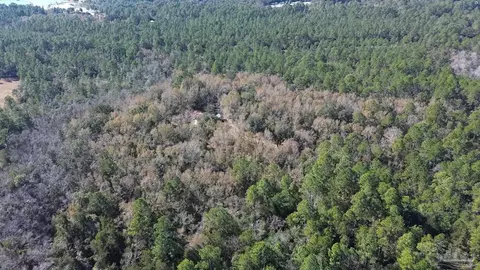 4130 Robinson Point Rd, Milton, FL 32583 photo 12