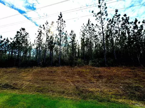 Parcel 2 W Tidwell Rd, Pace, FL 32571 photo 4